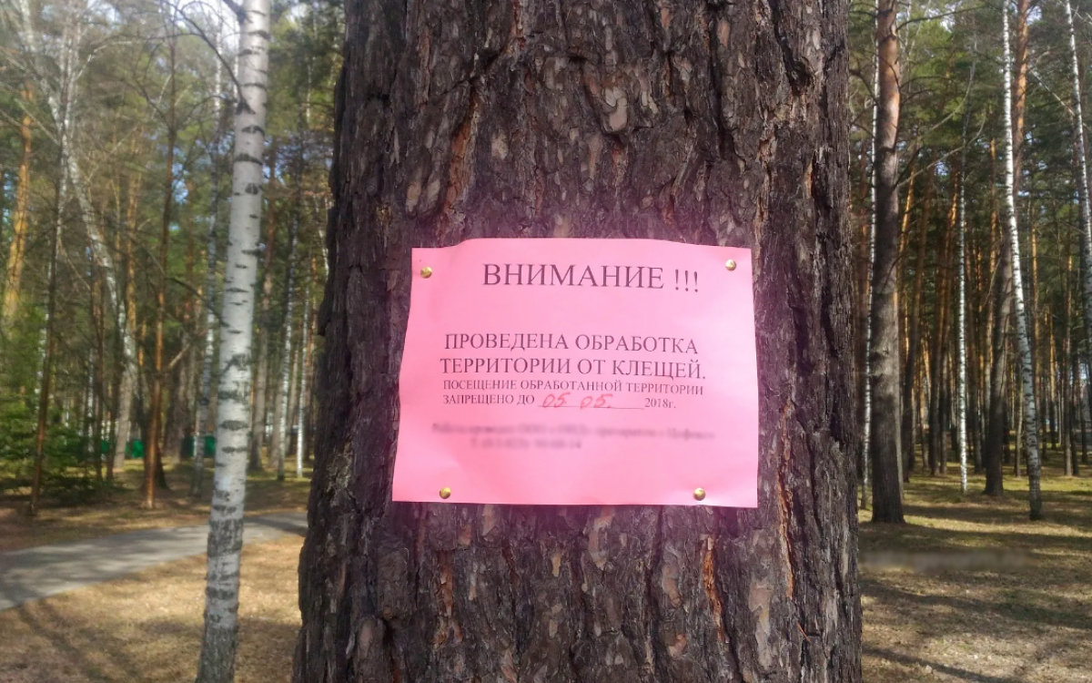 obrabotka-listovka